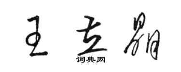 駱恆光王立晶草書個性簽名怎么寫