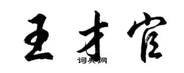 胡問遂王才官行書個性簽名怎么寫