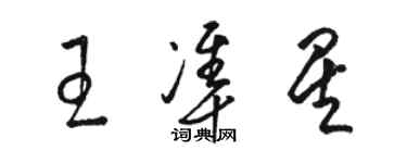 駱恆光王準星草書個性簽名怎么寫