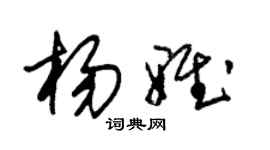 朱錫榮楊雅草書個性簽名怎么寫