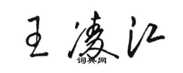 駱恆光王凌江草書個性簽名怎么寫