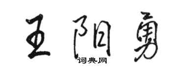 駱恆光王陽勇行書個性簽名怎么寫