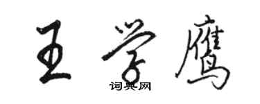 駱恆光王學鷹行書個性簽名怎么寫