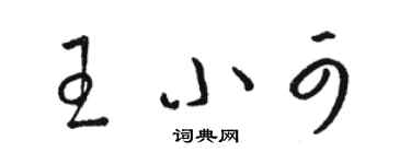 駱恆光王小可草書個性簽名怎么寫