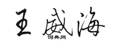 駱恆光王威海行書個性簽名怎么寫