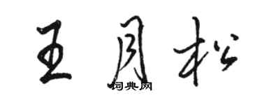 駱恆光王月松行書個性簽名怎么寫