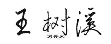 駱恆光王樹溪行書個性簽名怎么寫