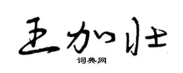 曾慶福王加壯草書個性簽名怎么寫