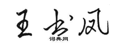 駱恆光王書鳳行書個性簽名怎么寫