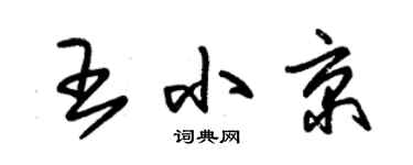 朱錫榮王小京草書個性簽名怎么寫