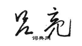 駱恆光呂亮草書個性簽名怎么寫