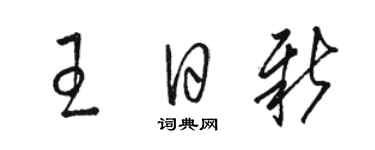 駱恆光王日新草書個性簽名怎么寫