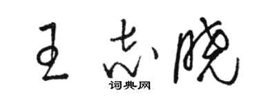 駱恆光王志曉草書個性簽名怎么寫