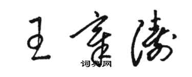 駱恆光王章濤草書個性簽名怎么寫