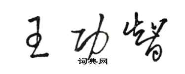 駱恆光王功智草書個性簽名怎么寫