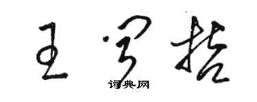 駱恆光王聞哲草書個性簽名怎么寫