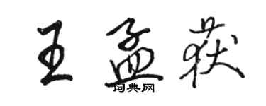 駱恆光王孟獲行書個性簽名怎么寫