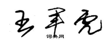 朱錫榮王軍虎草書個性簽名怎么寫