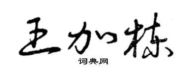 曾慶福王加棟草書個性簽名怎么寫