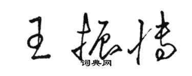 駱恆光王振博草書個性簽名怎么寫