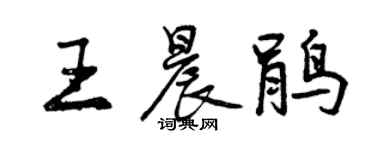 曾慶福王晨鵑行書個性簽名怎么寫
