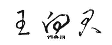 駱恆光王向君草書個性簽名怎么寫