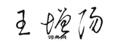 駱恆光王增陽草書個性簽名怎么寫