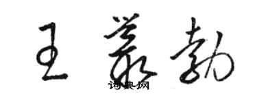 駱恆光王叢勃草書個性簽名怎么寫