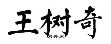 翁闓運王樹奇楷書個性簽名怎么寫