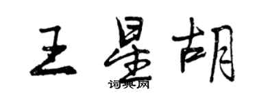 曾慶福王星胡行書個性簽名怎么寫