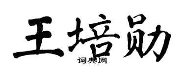 翁闓運王培勛楷書個性簽名怎么寫