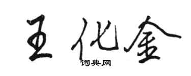 駱恆光王化金行書個性簽名怎么寫