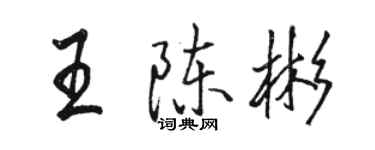 駱恆光王陳彬行書個性簽名怎么寫