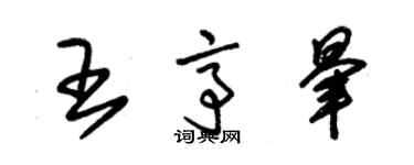 朱錫榮王亭暈草書個性簽名怎么寫