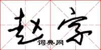 朱錫榮趙字草書怎么寫