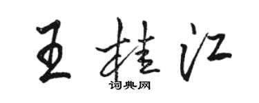 駱恆光王桂江行書個性簽名怎么寫