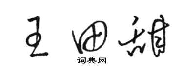 駱恆光王田甜草書個性簽名怎么寫