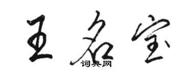 駱恆光王名寶行書個性簽名怎么寫