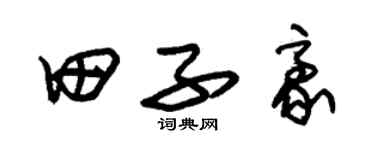 朱錫榮田子豪草書個性簽名怎么寫