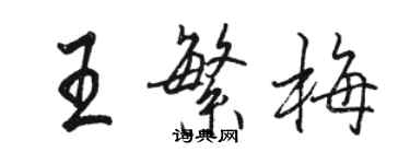 駱恆光王繁梅行書個性簽名怎么寫