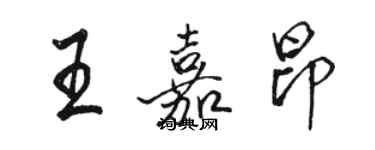 駱恆光王嘉昂行書個性簽名怎么寫