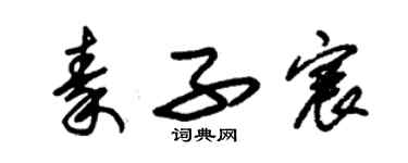 朱錫榮秦子宸草書個性簽名怎么寫