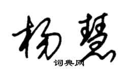 朱錫榮楊慧草書個性簽名怎么寫