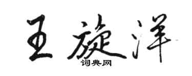 駱恆光王旋洋行書個性簽名怎么寫