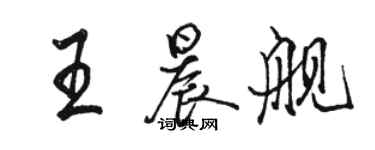 駱恆光王晨艦行書個性簽名怎么寫