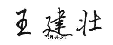 駱恆光王建壯行書個性簽名怎么寫
