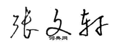 駱恆光張文軒草書個性簽名怎么寫