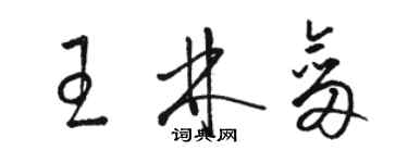 駱恆光王林劍草書個性簽名怎么寫