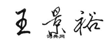 駱恆光王景裕行書個性簽名怎么寫