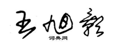 朱錫榮王旭影草書個性簽名怎么寫